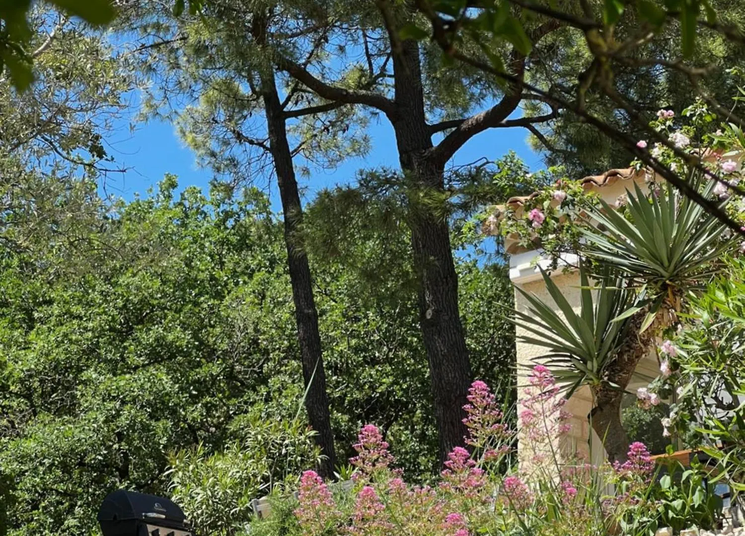 Le Mas De L'Alliance - 12 P - Air Cond - Private Pool - Near Grignan Roussas France